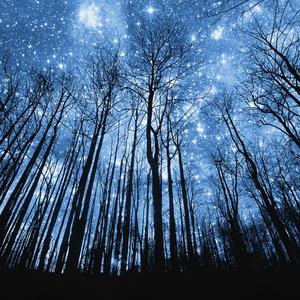 黑客破精油按摩解摄像视频
